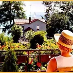 Linke Am Bodensee نوننهورن