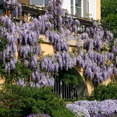 Linke Am Bodensee 아파트 노넨혼